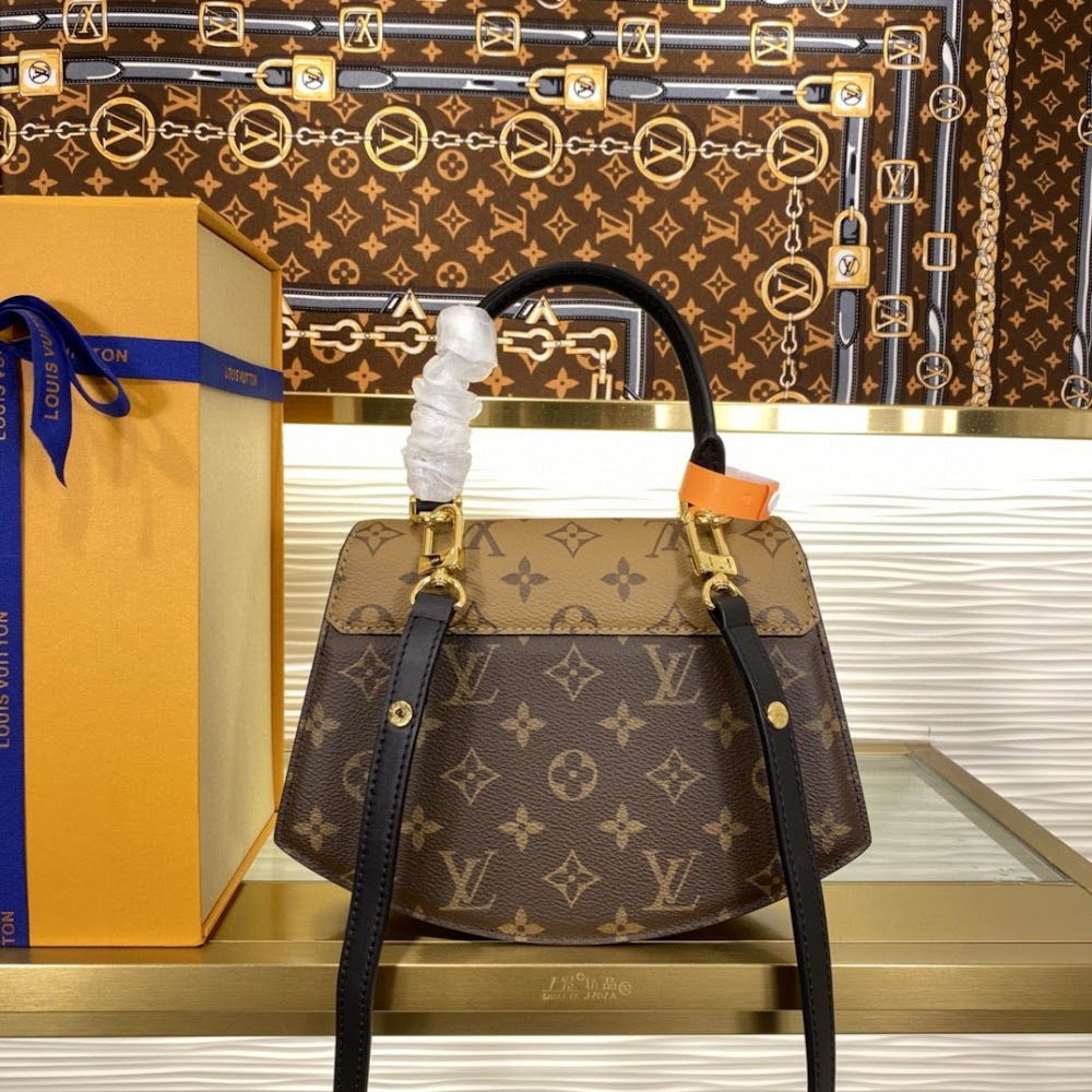 Dragons Bags LVn Luxury Bag --79340