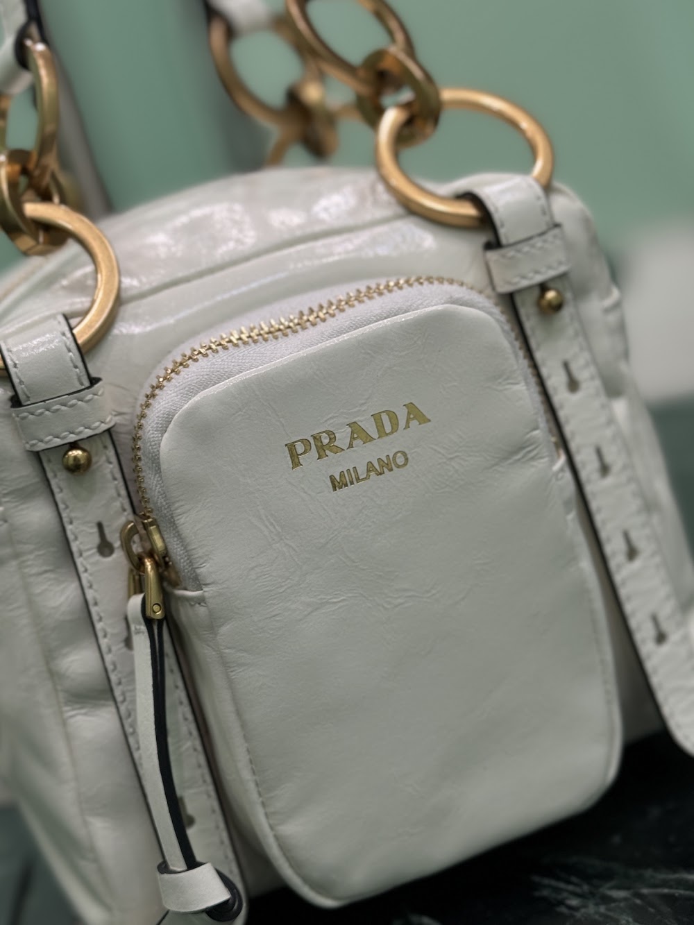 Dragons Bags Pradn Luxury Bag --102099