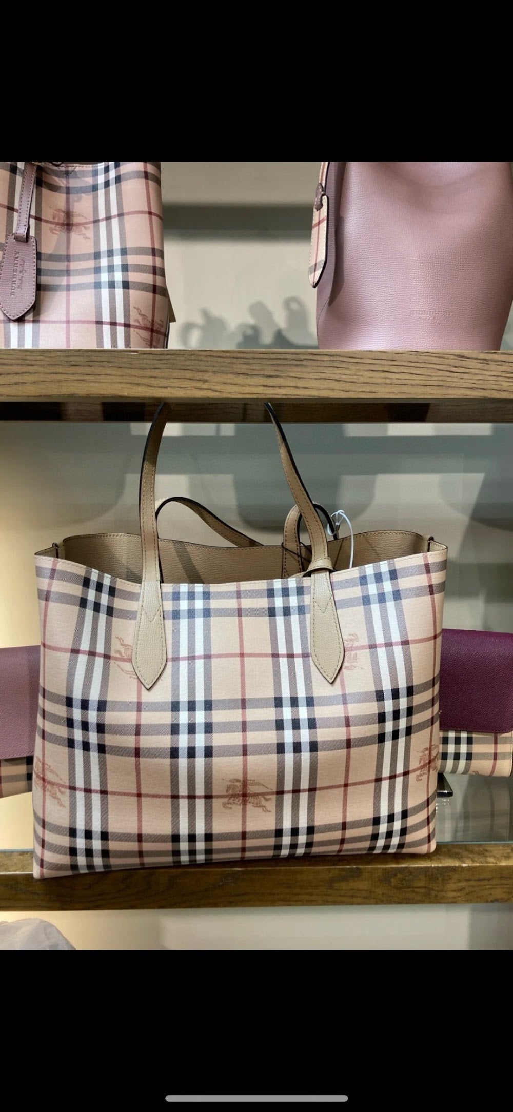 Dragons Bags Burberryn Luxury Bag --91687
