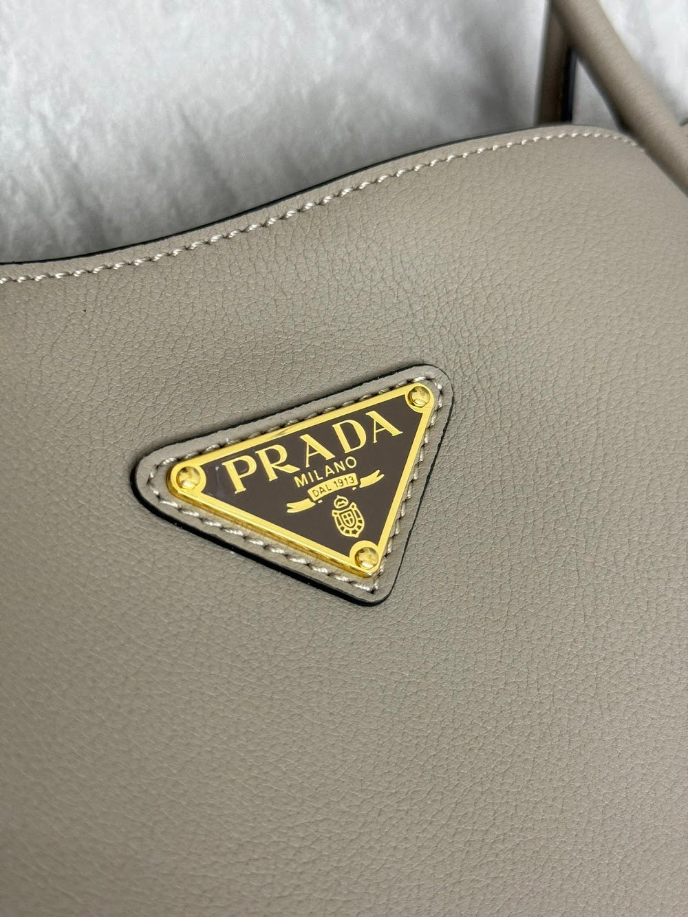 Dragons Bags Pradn Luxury Bag --101430