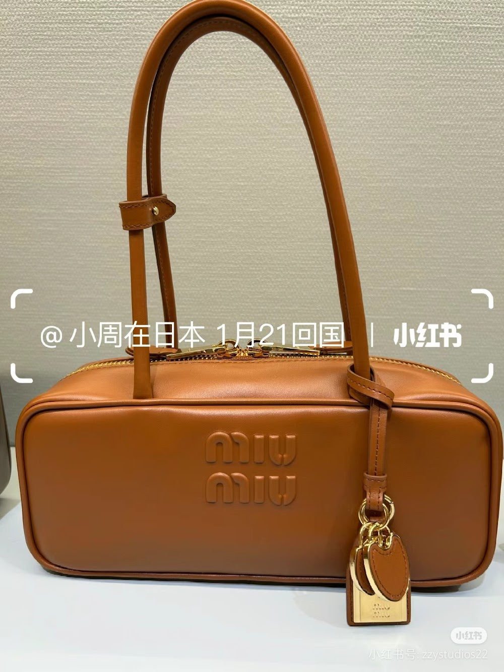Dragons Bags Miun Miun Luxury Bag --123499