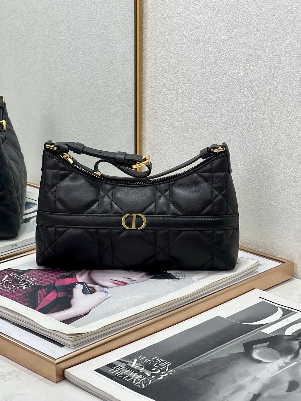 Dragons BagsDiorn Luxury Bag --116399