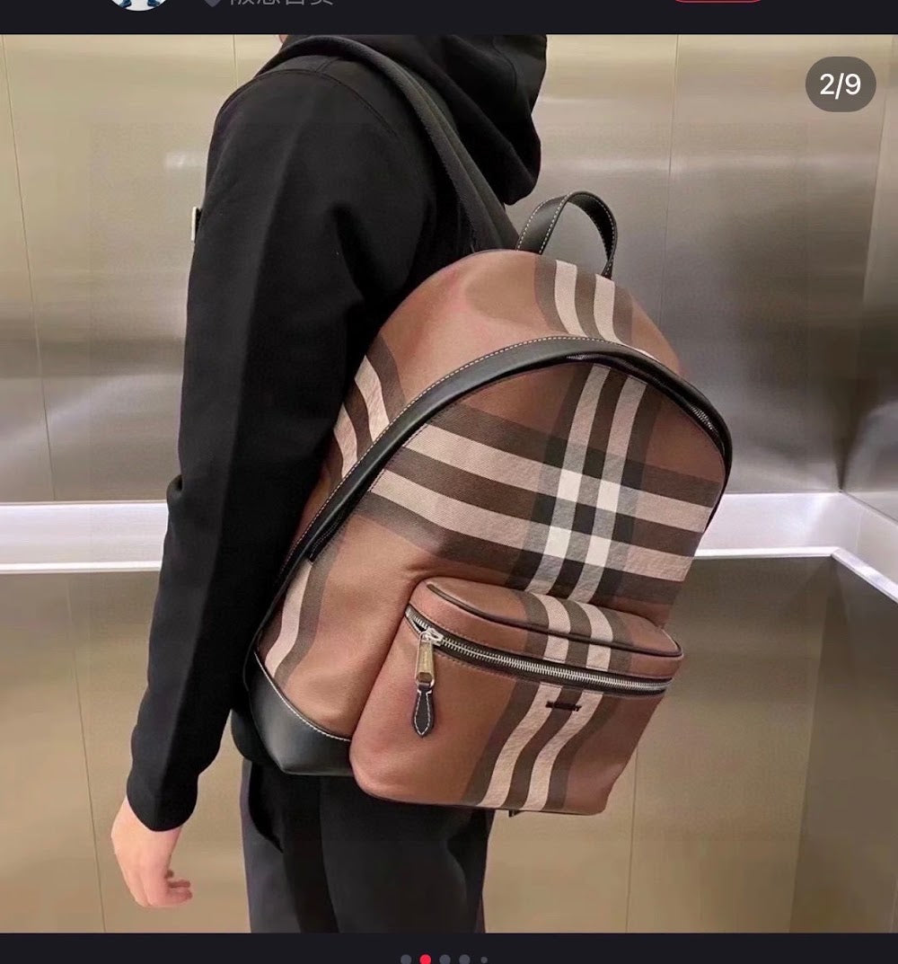 Dragons Bags Burberryn Luxury Bag --93062