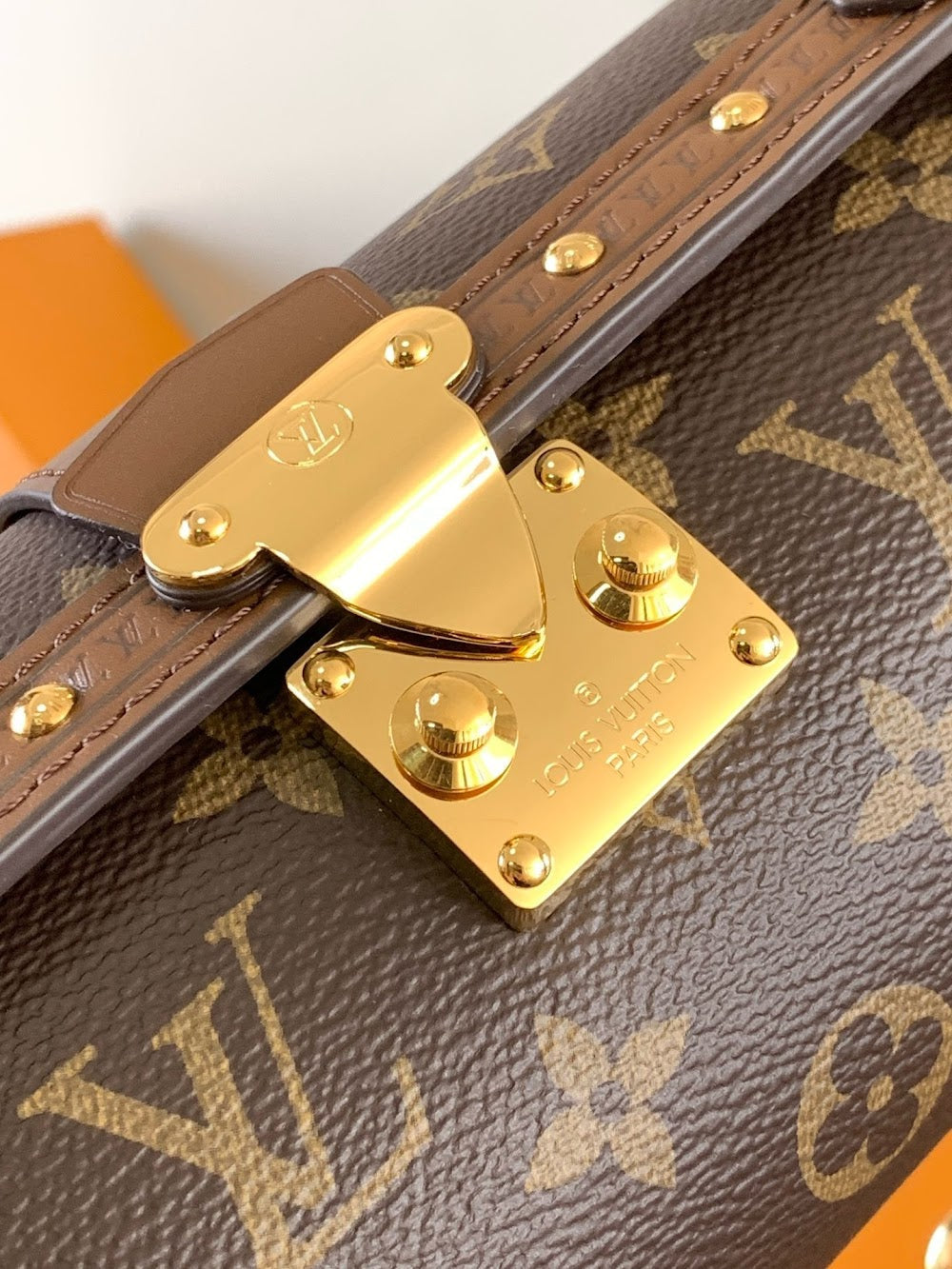 Dragons Bags LVn Luxury Bag --79639
