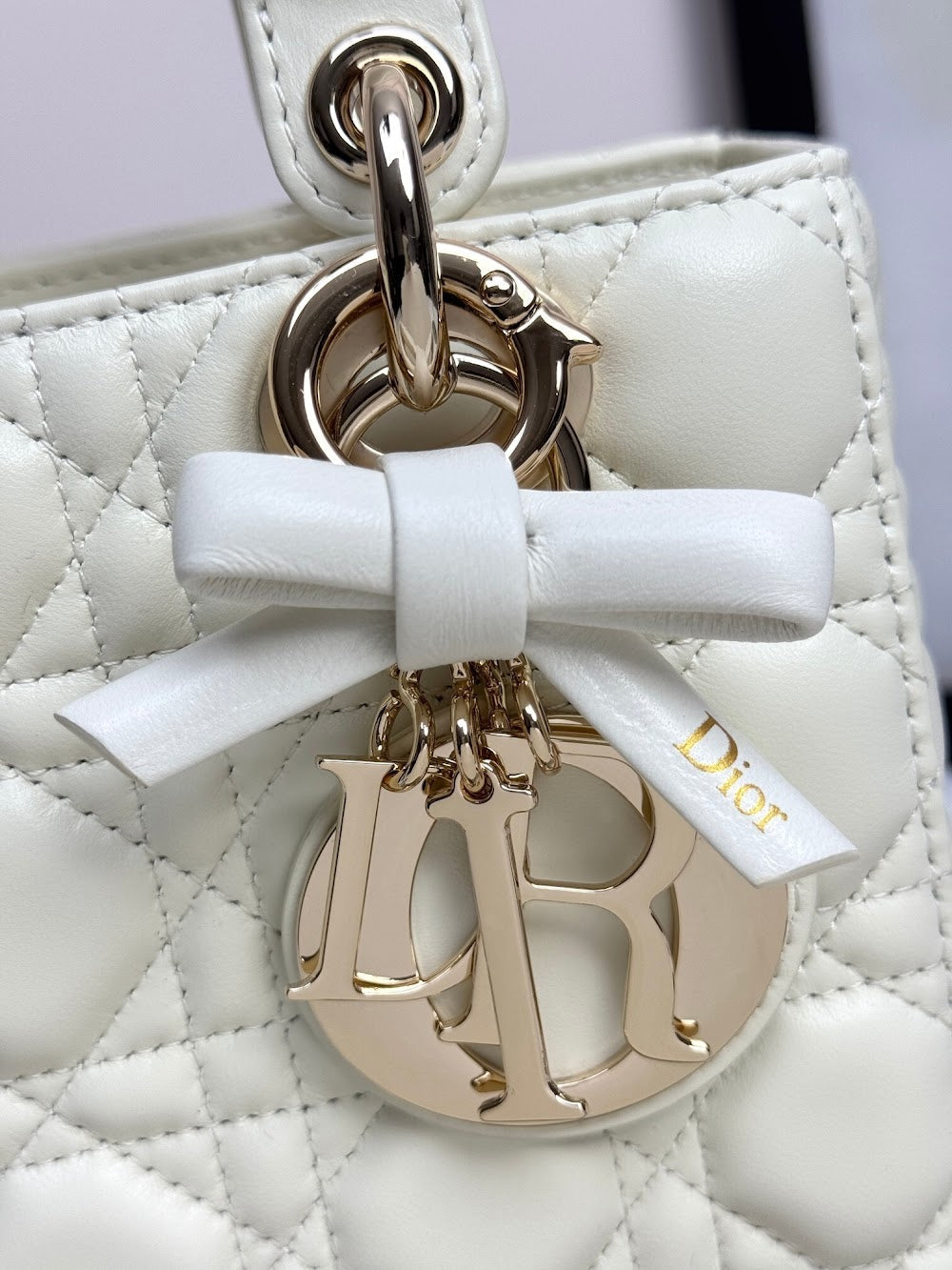 Dragons BagsDiorn Luxury Bag --114950
