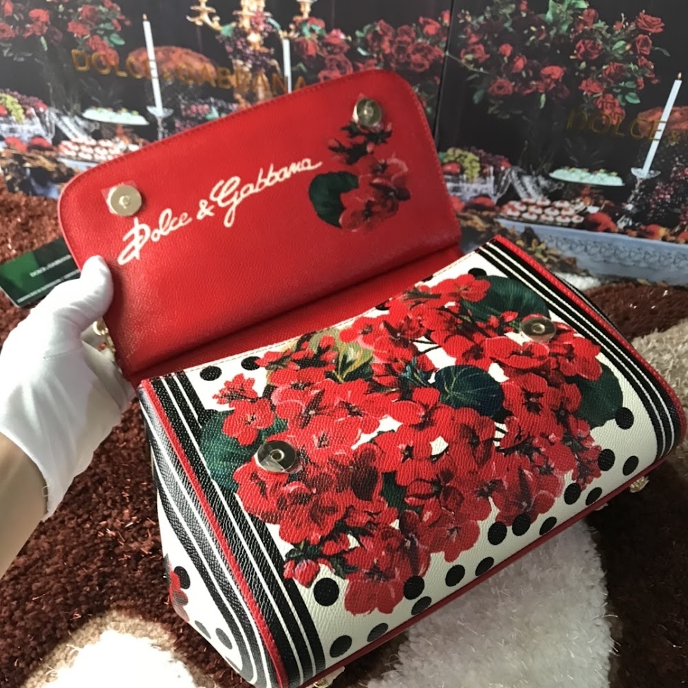Dragons Bags DGn Luxury Bag --93950
