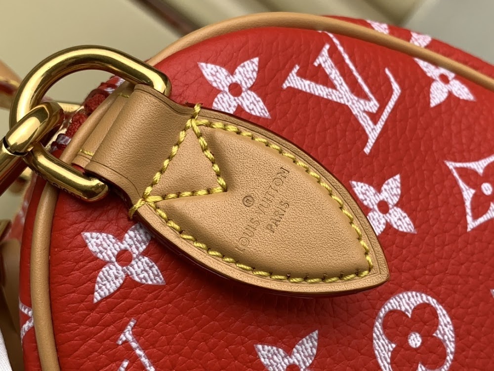 Dragons Bags ln Luxury Bag --68807