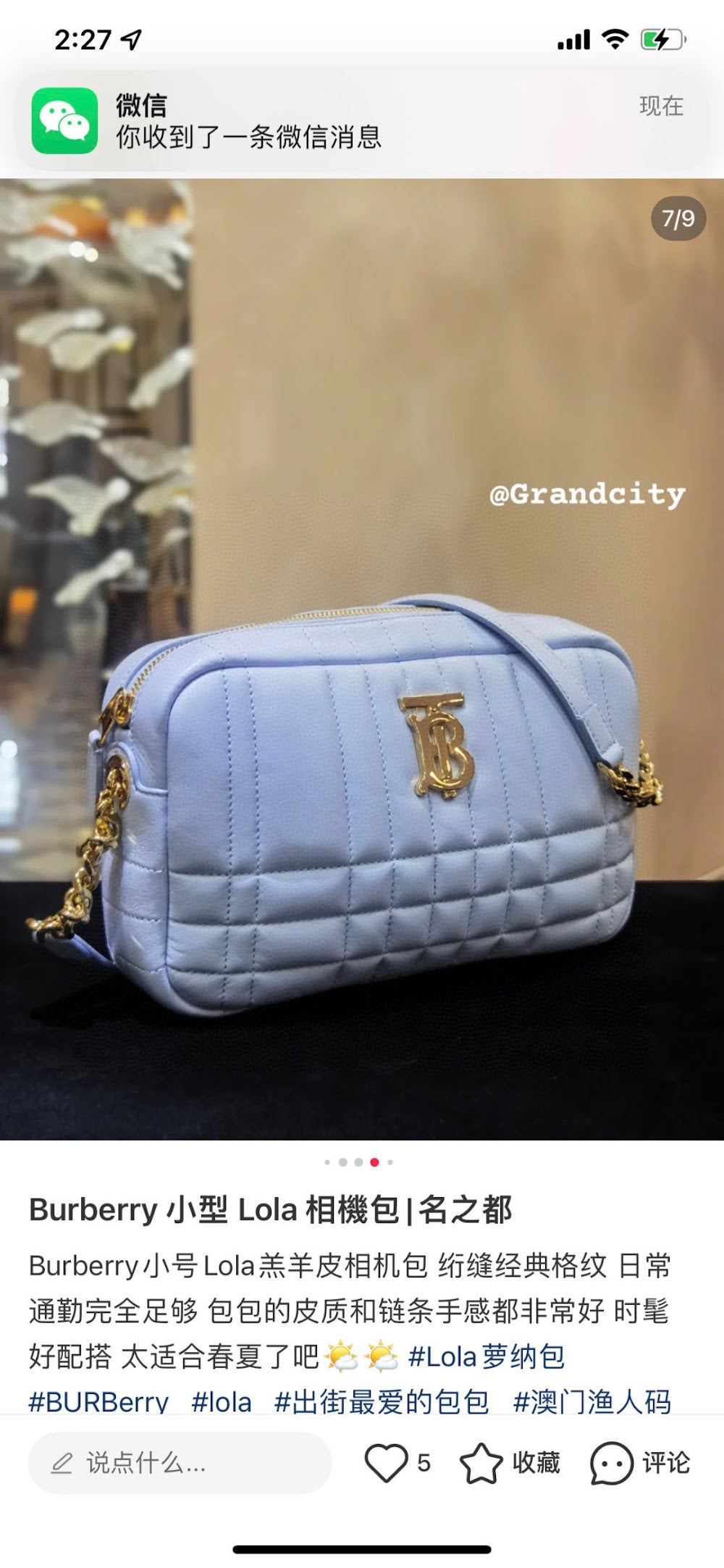 Dragons Bags Burberryn Luxury Bag --91676