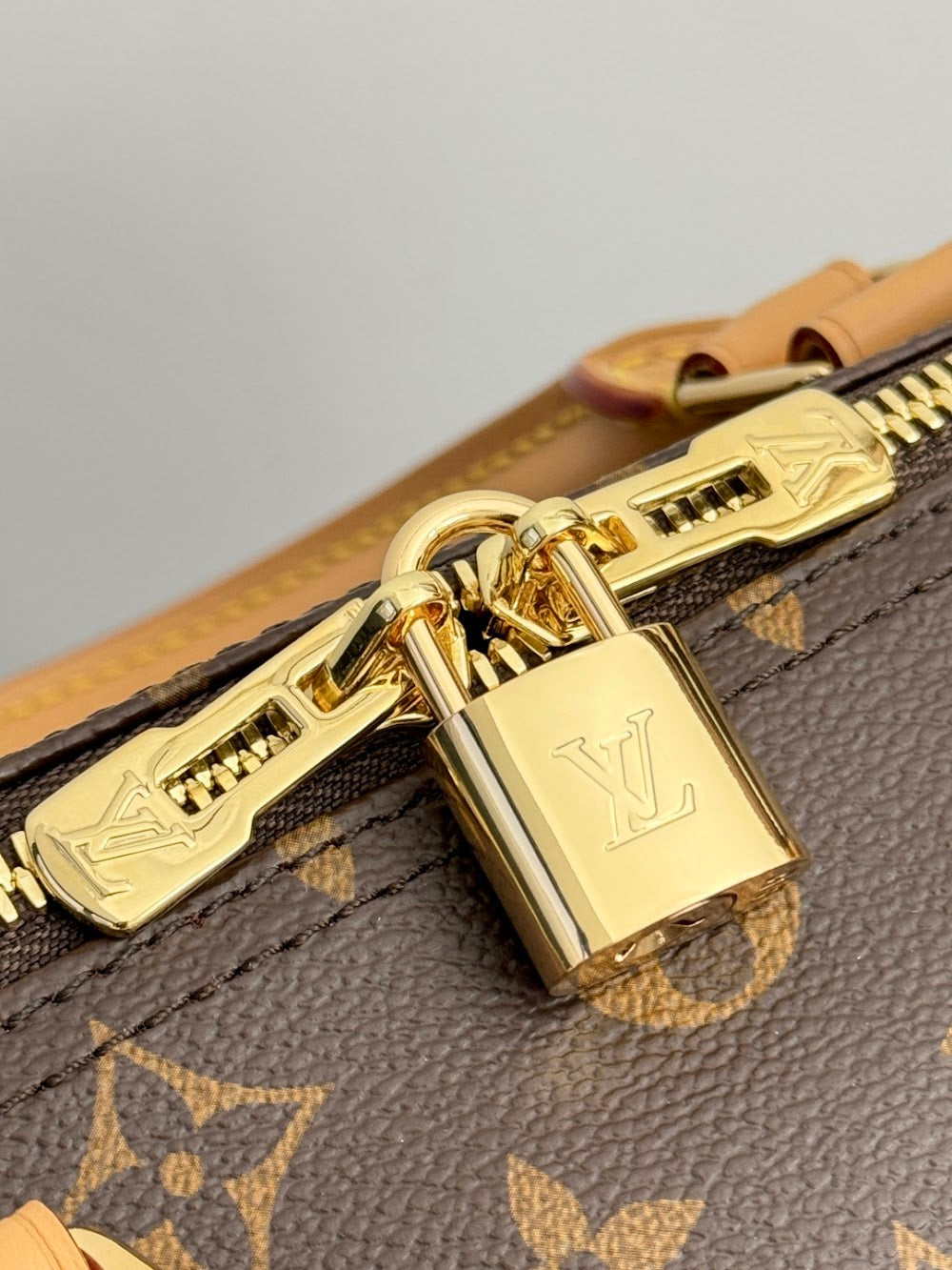 Dragons Bags ln Luxury Bag --96283