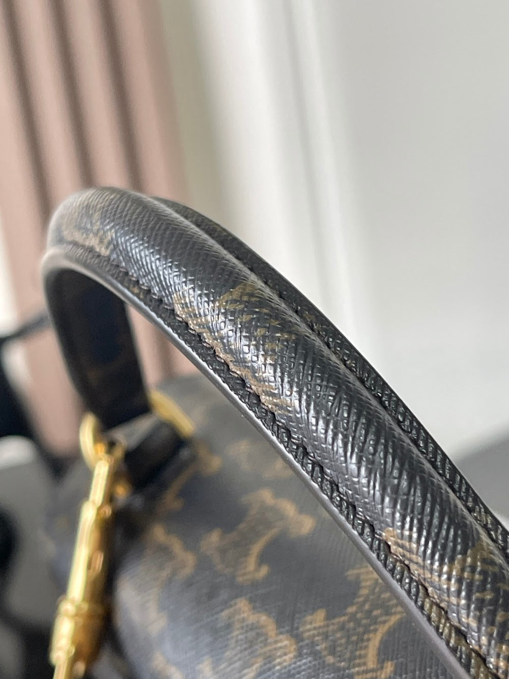 Dragons Bags Celine Luxury Bag --112329