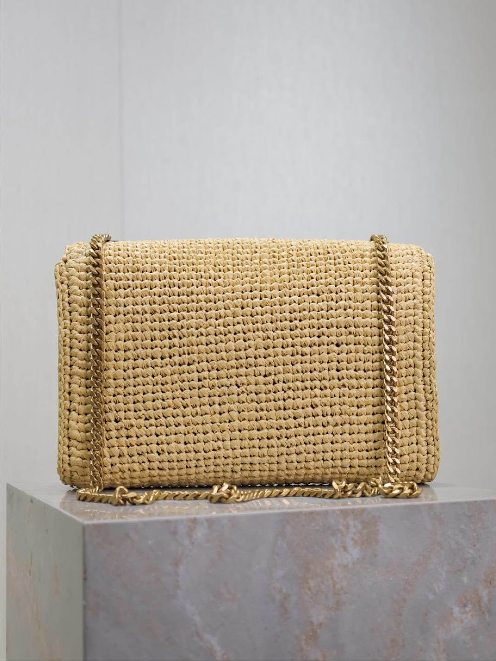 Dragons Bags YSLn Luxury Bag --120233
