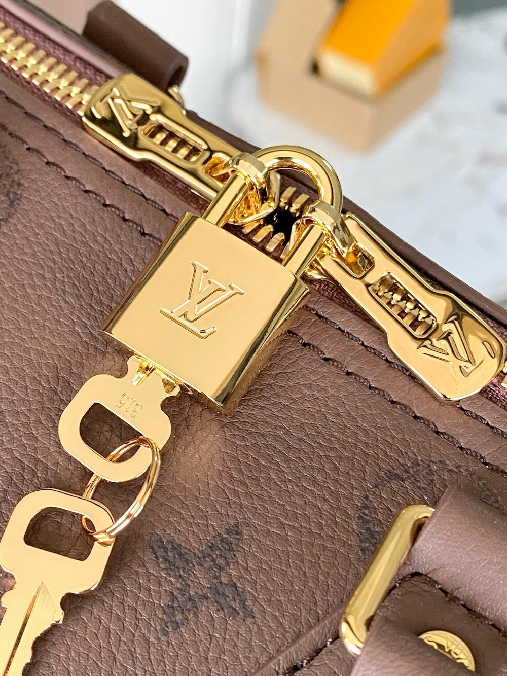 Dragons Bags ln Luxury Bag --96049