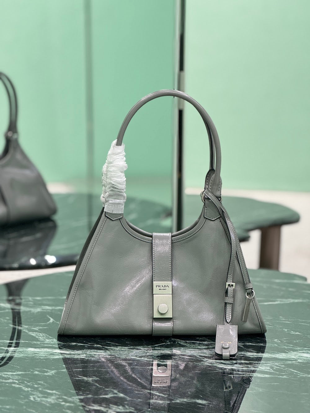 Dragons Bags Pradn Luxury Bag --102072