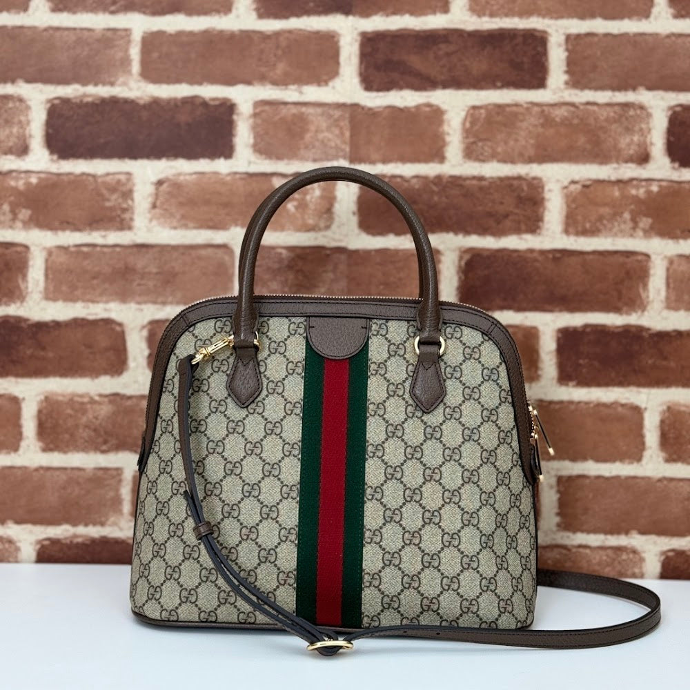 Dragons Bags Guccin Luxury Bag --94741