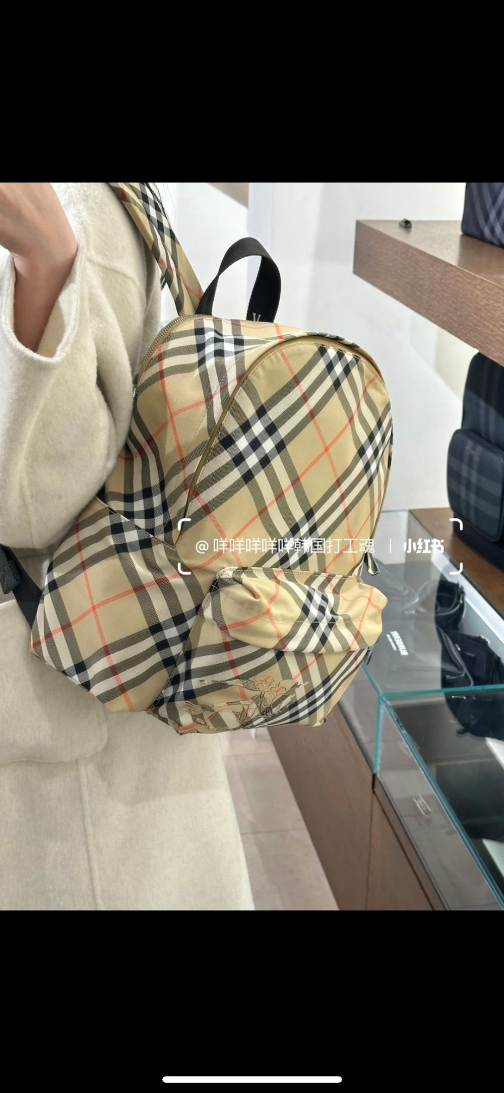 Dragons Bags Burberryn Luxury Bag --93011