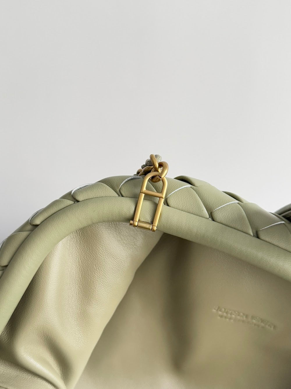 Dragons Bags Bottegan Luxury Bag --91097