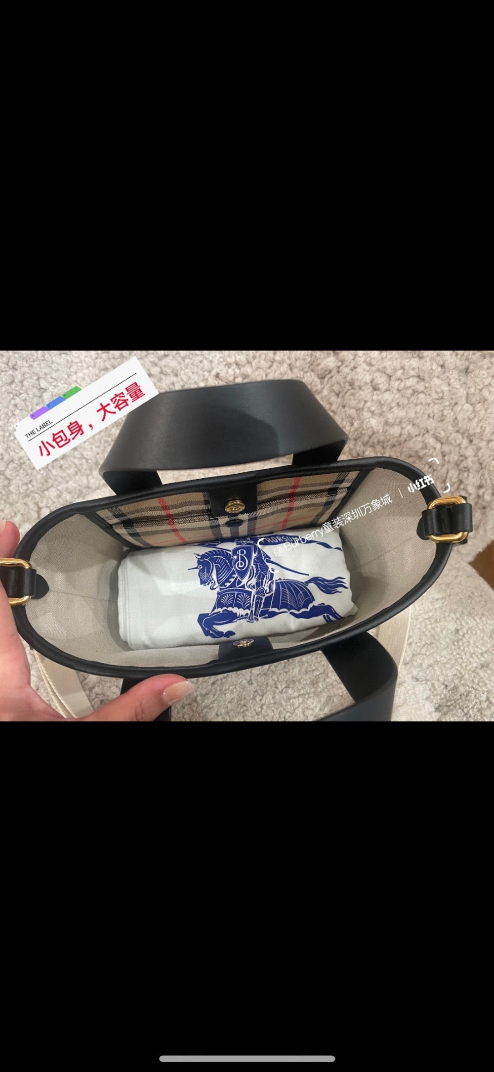 Dragons Bags Burberryn Luxury Bag --92536