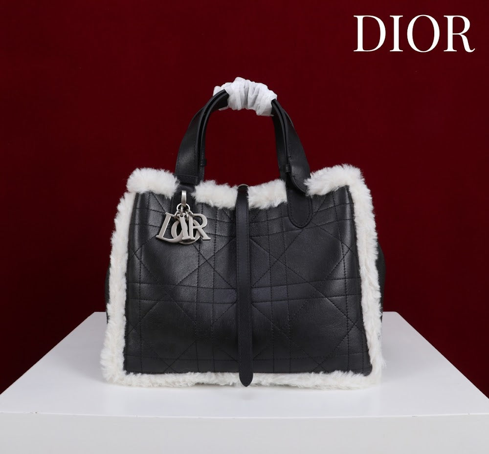 Dragons BagsDiorn Luxury Bag --114889