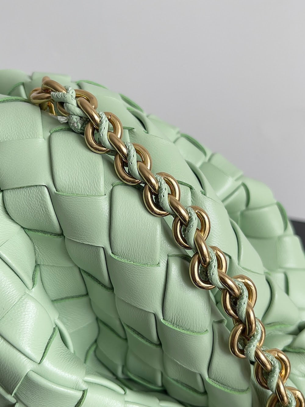 Dragons Bags Bottegan Luxury Bag --91077