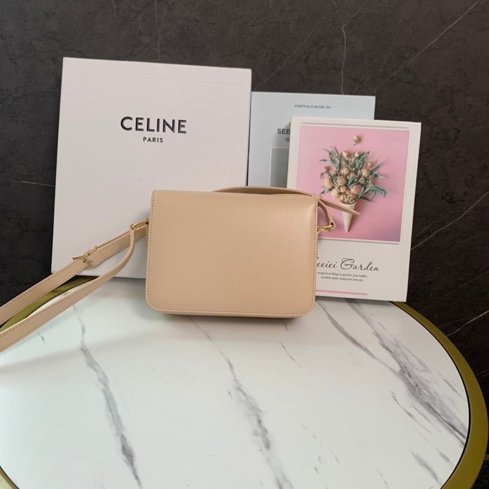 Dragons Bags Celine Luxury Bag --111983