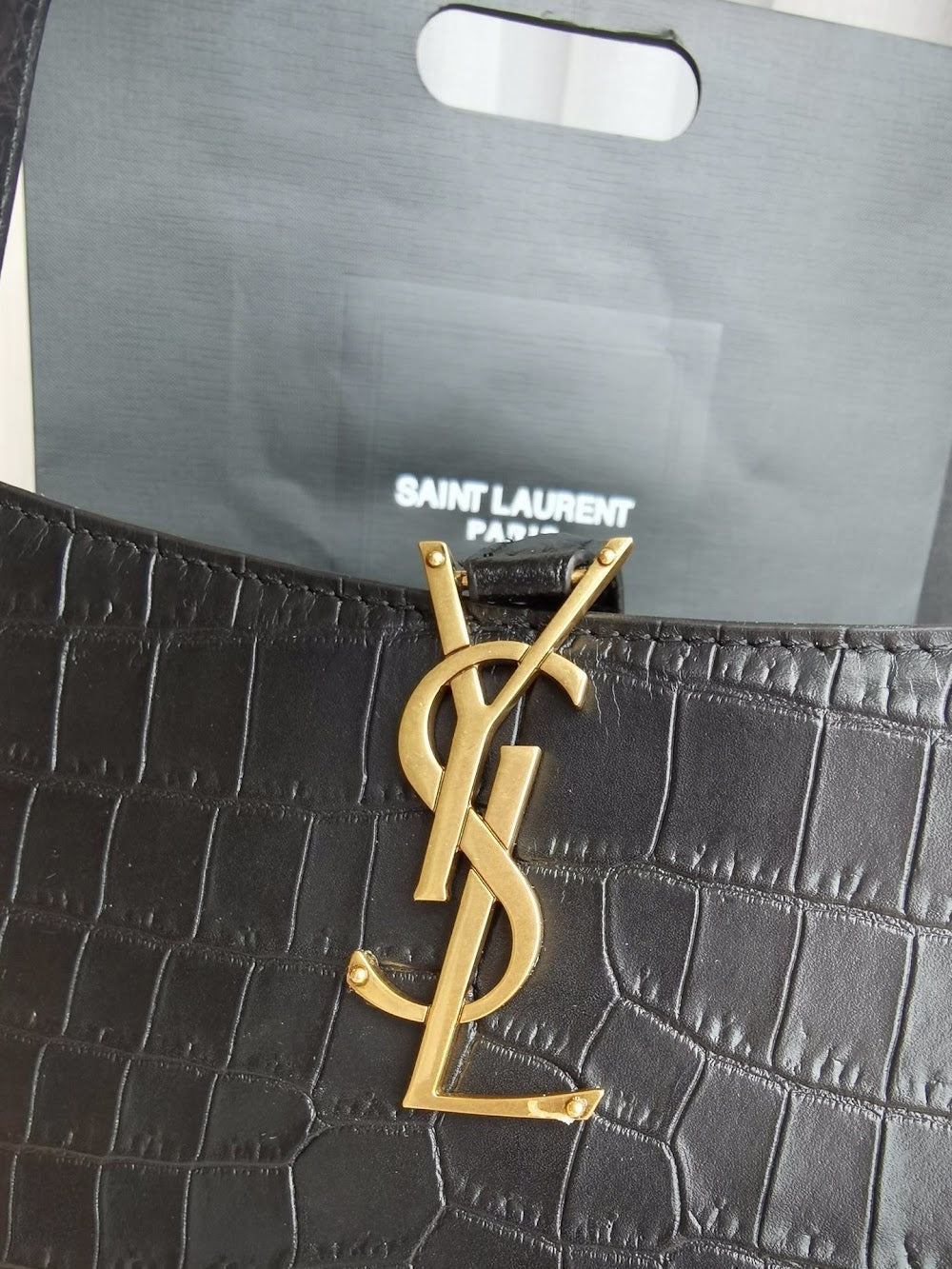 Dragons Bags YSLn Luxury Bag --119095