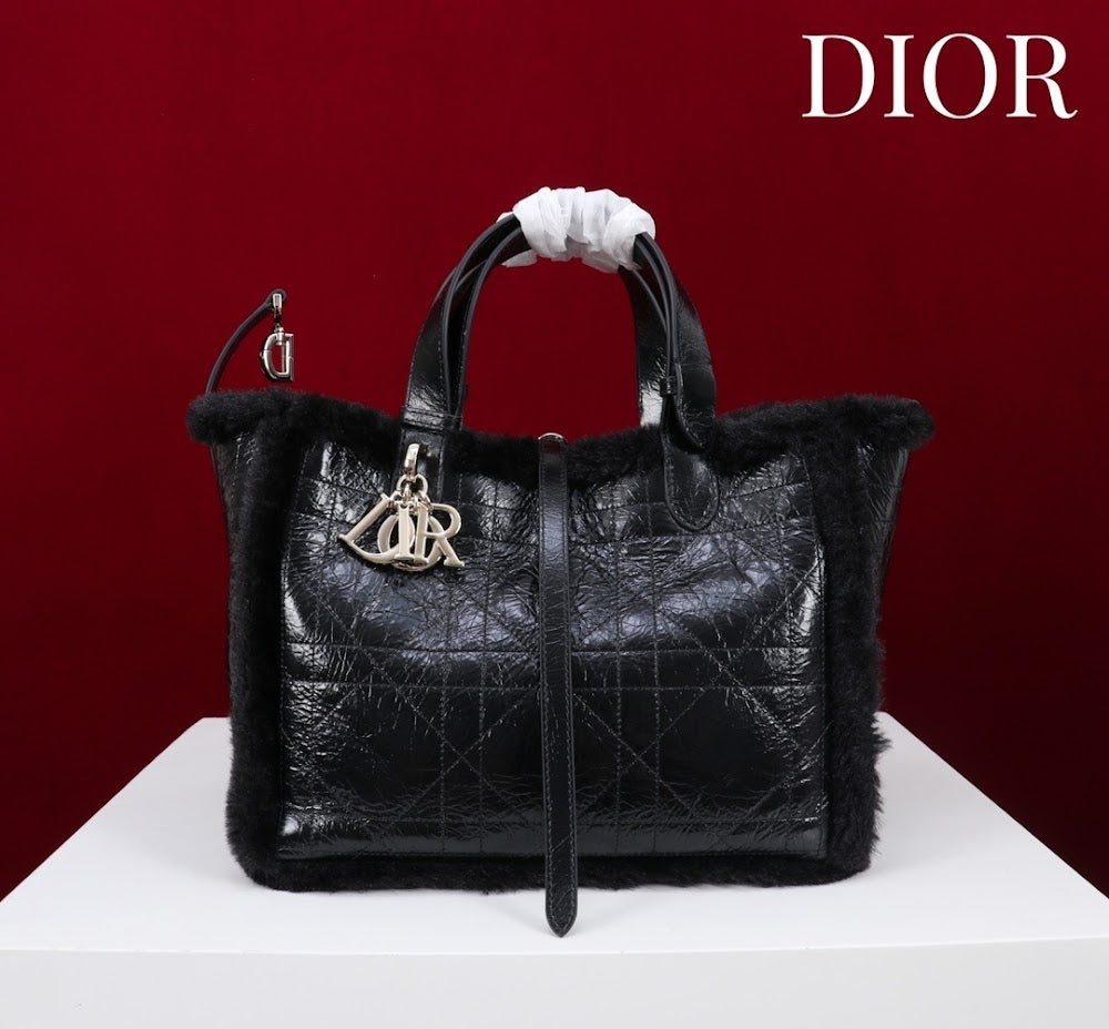 Dragons BagsDiorn Luxury Bag --116119