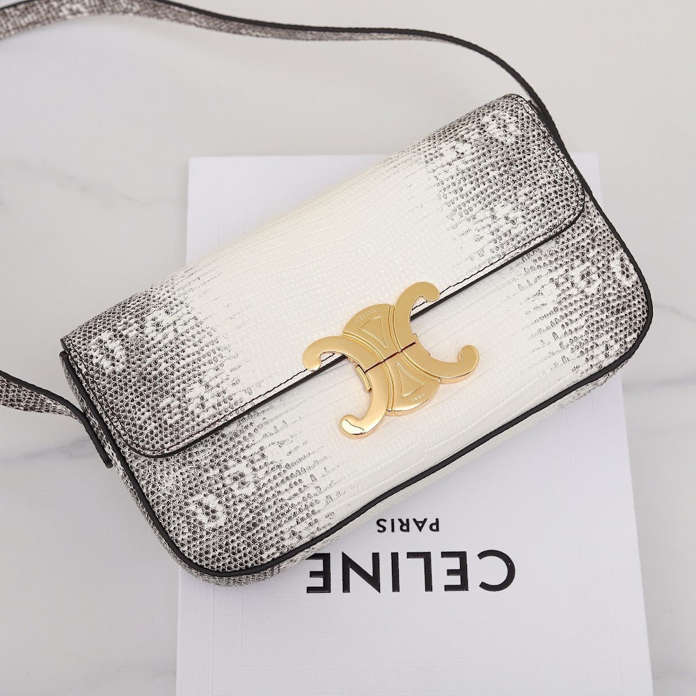 Dragons Bags Celine Luxury Bag --112152