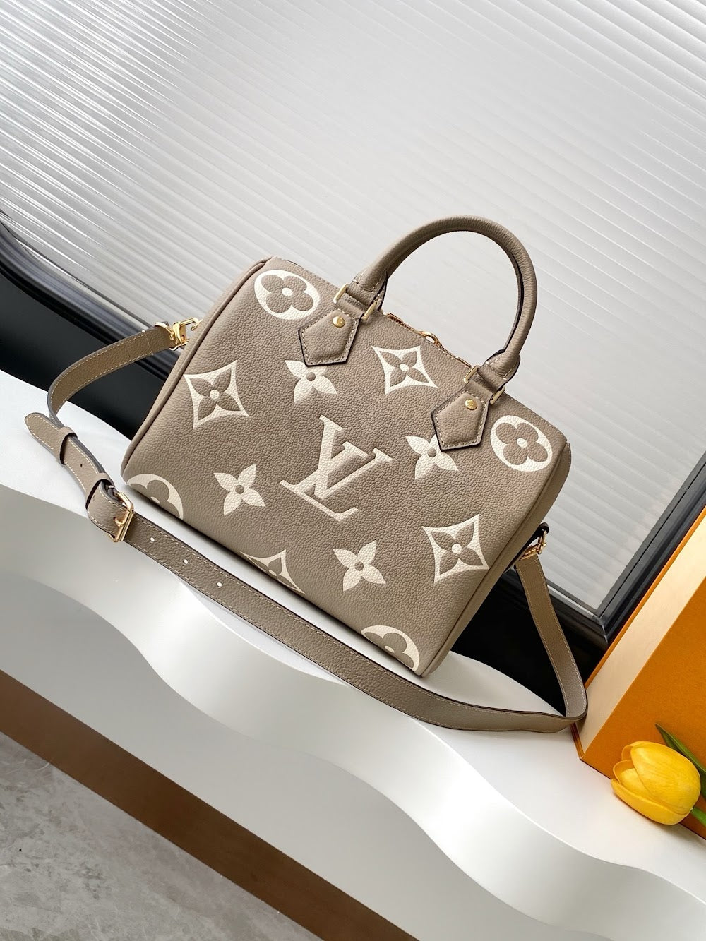Dragons Bags LVn Luxury Bag --78921