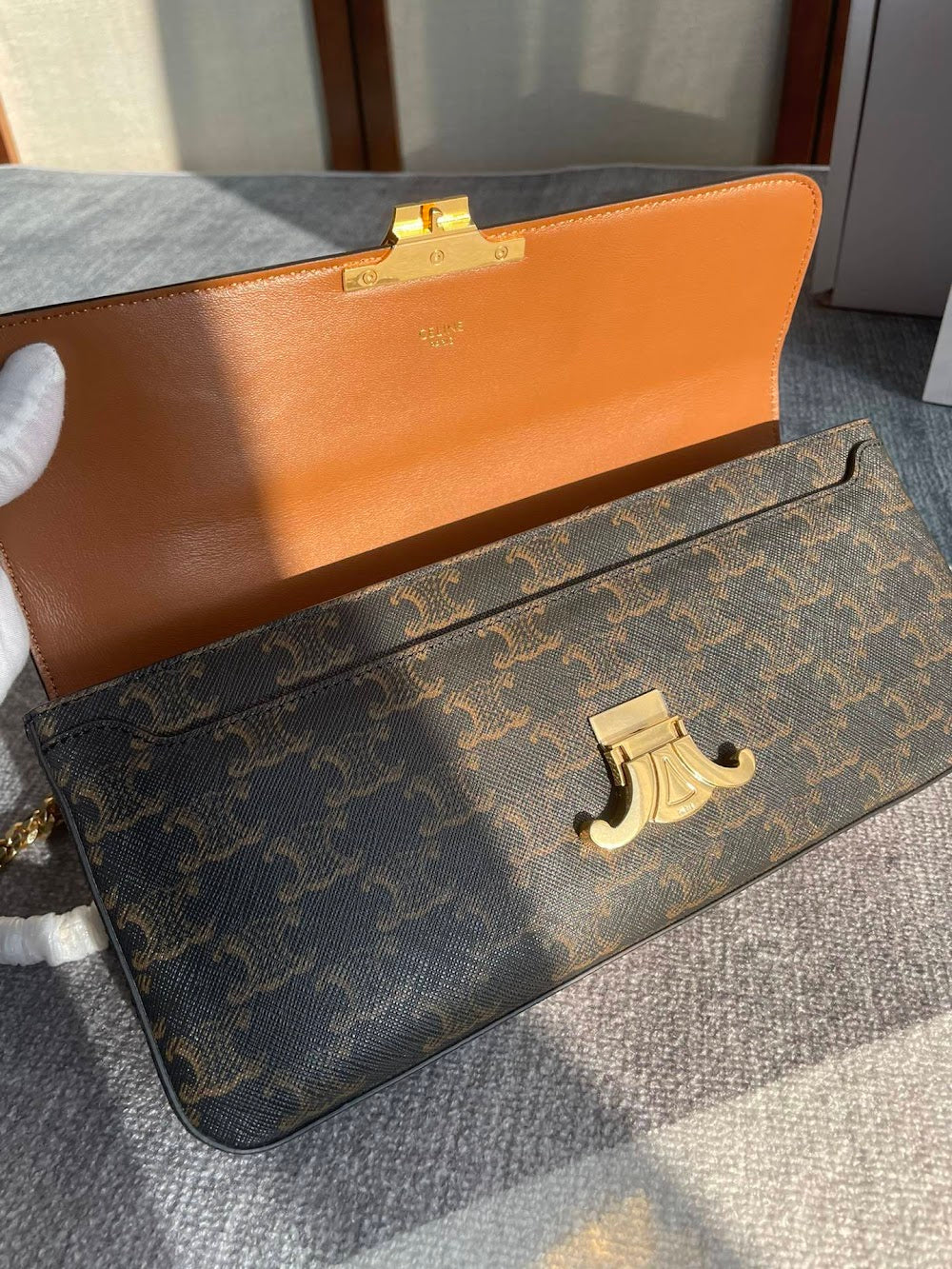 Dragons Bags Celine Luxury Bag --112258