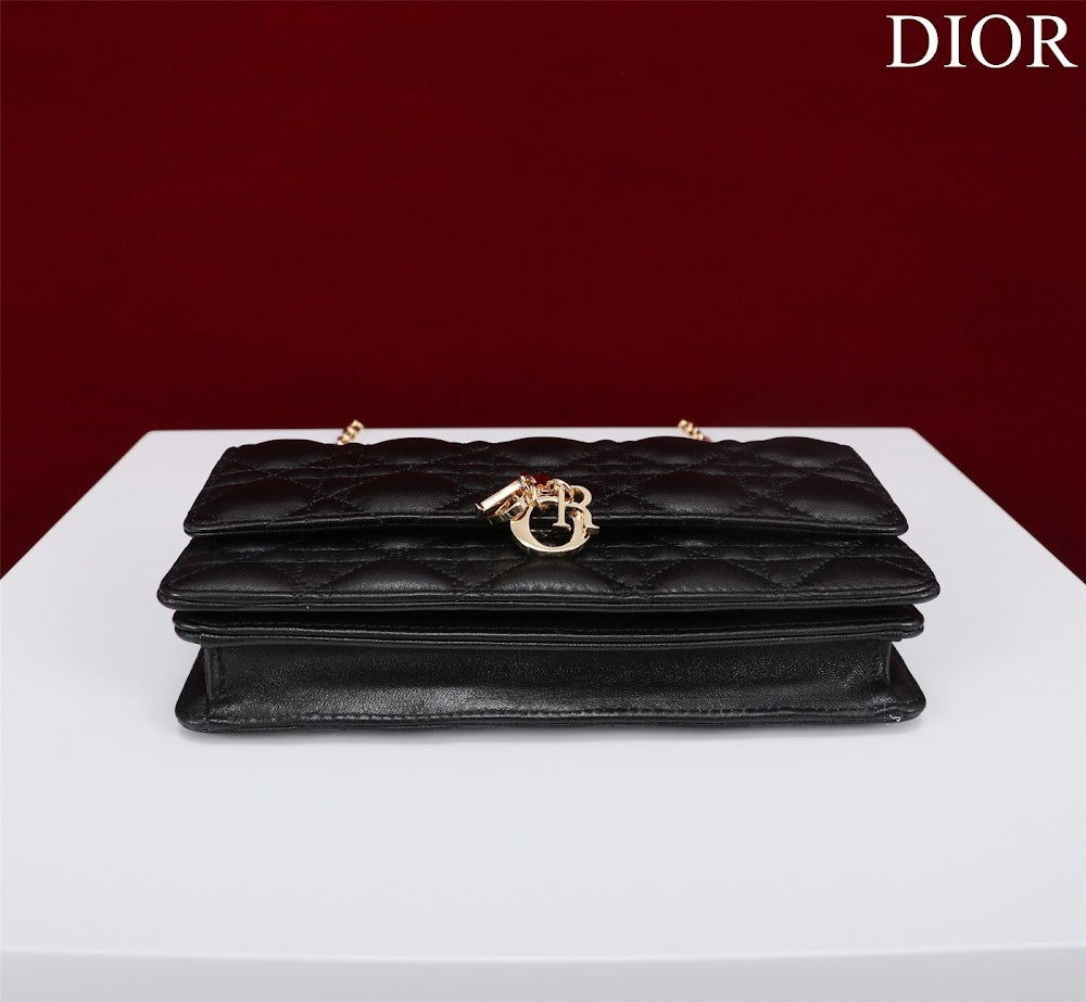 Dragons BagsDiorn Luxury Bag --116234