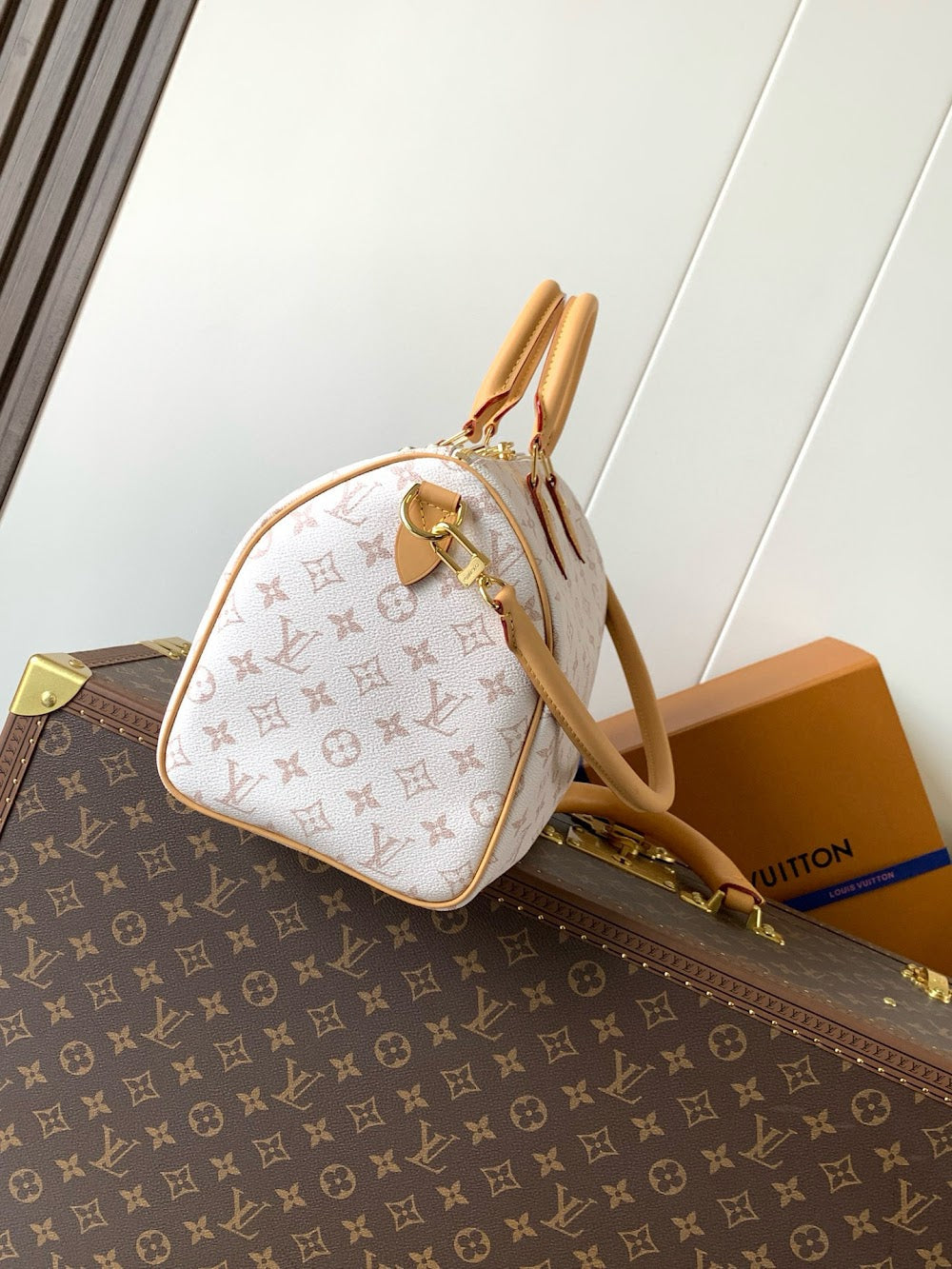 Dragons Bags LVn Luxury Bag --79216