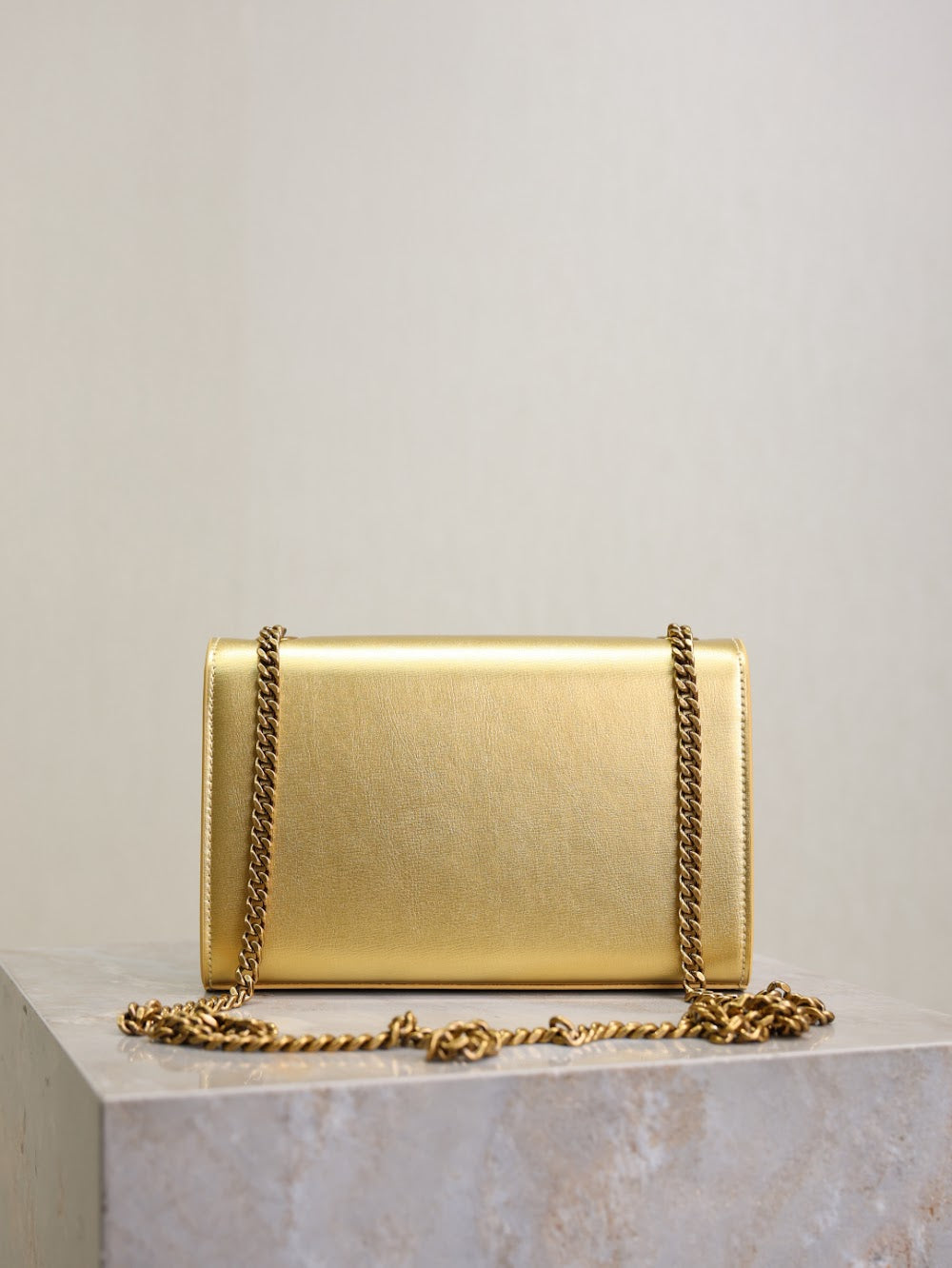 Dragons Bags YSLn Luxury Bag --119279