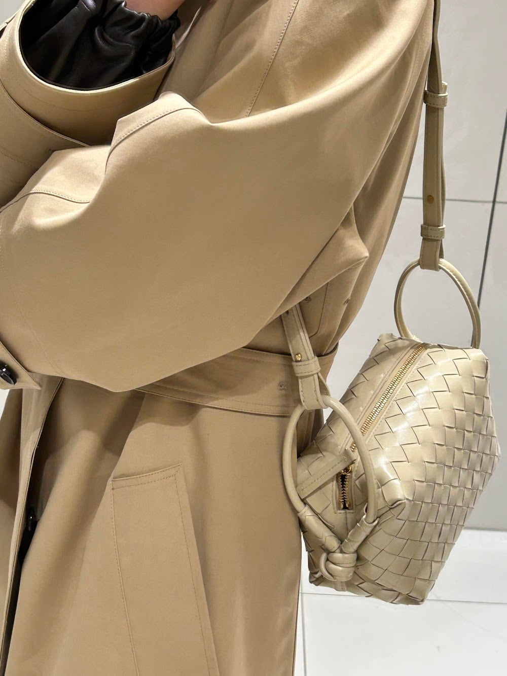 Dragons Bags Bottegan Luxury Bag --91576