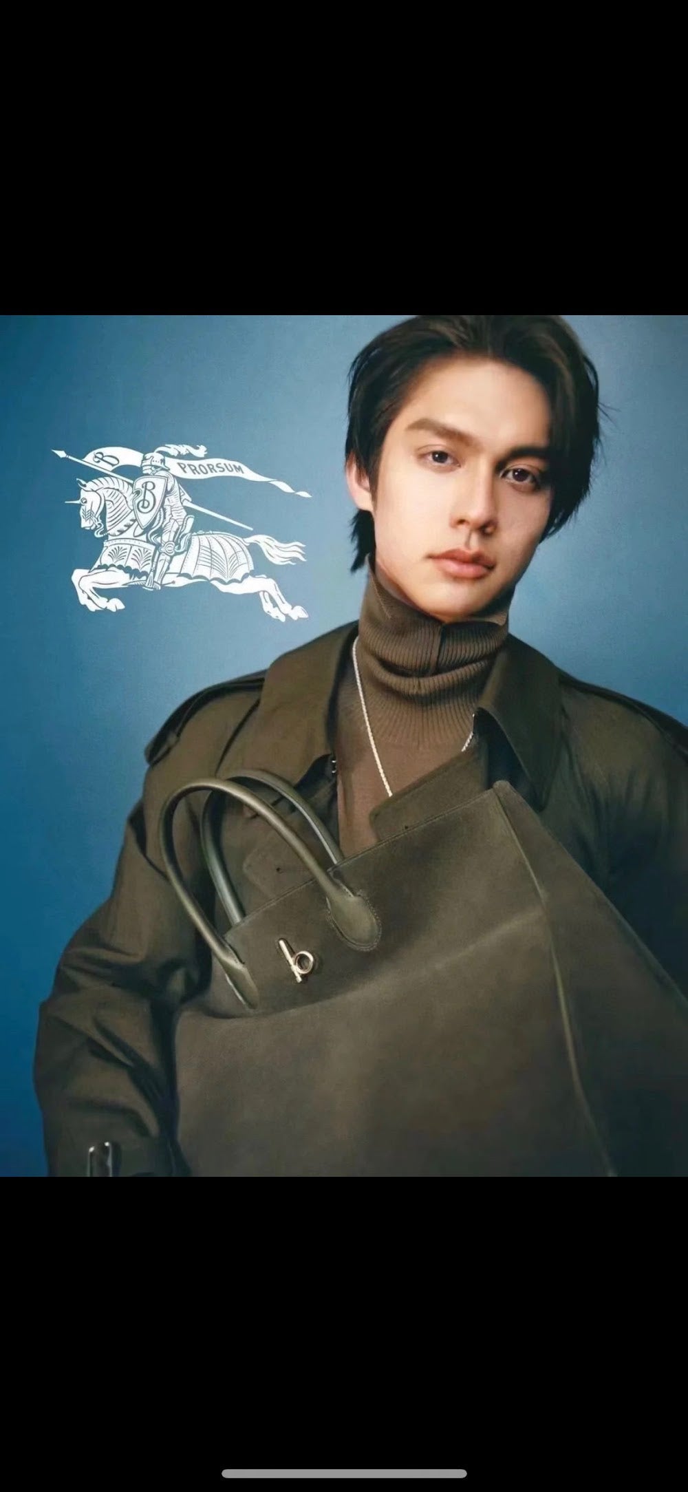 Dragons Bags Burberryn Luxury Bag --92785