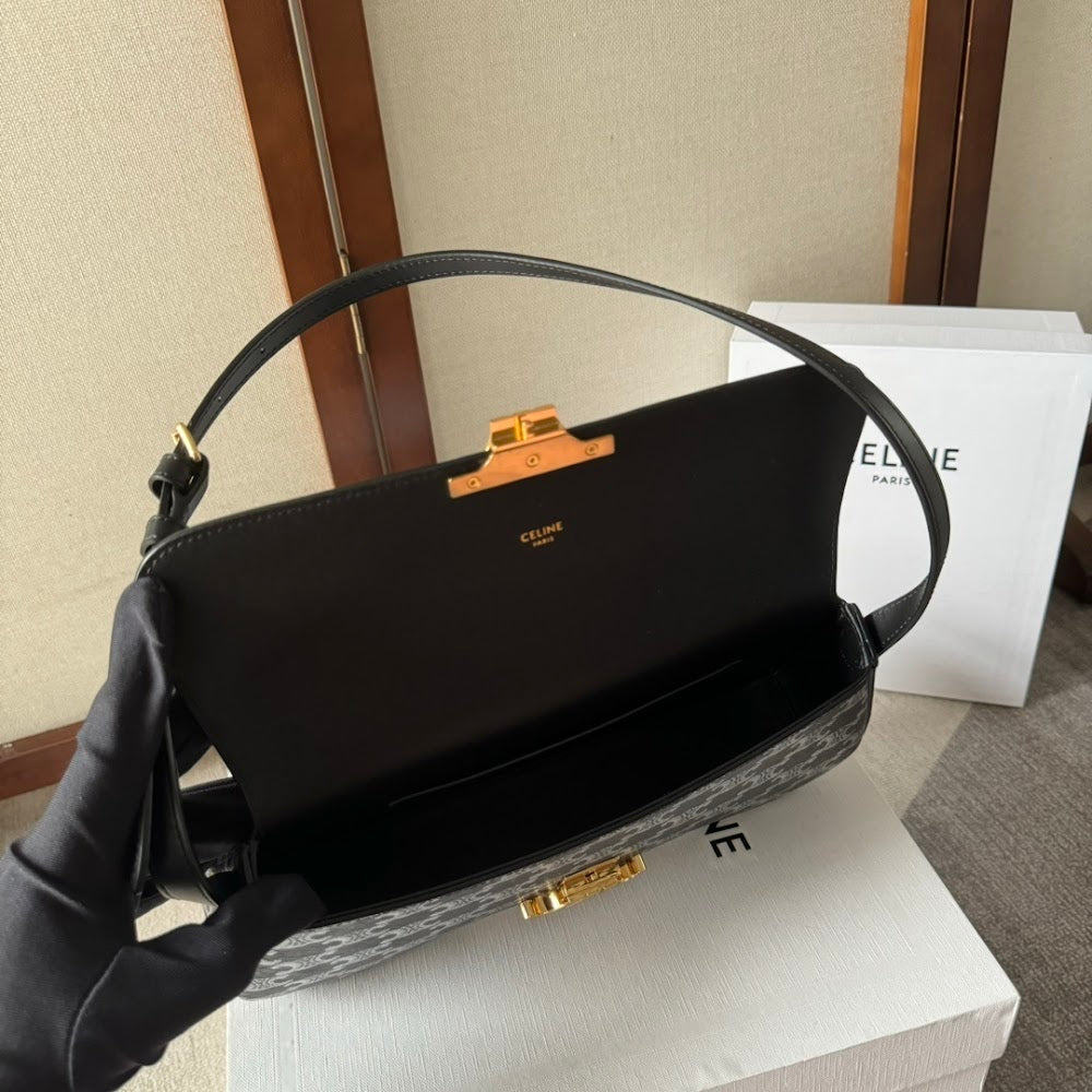 Dragons Bags Celine Luxury Bag --112507
