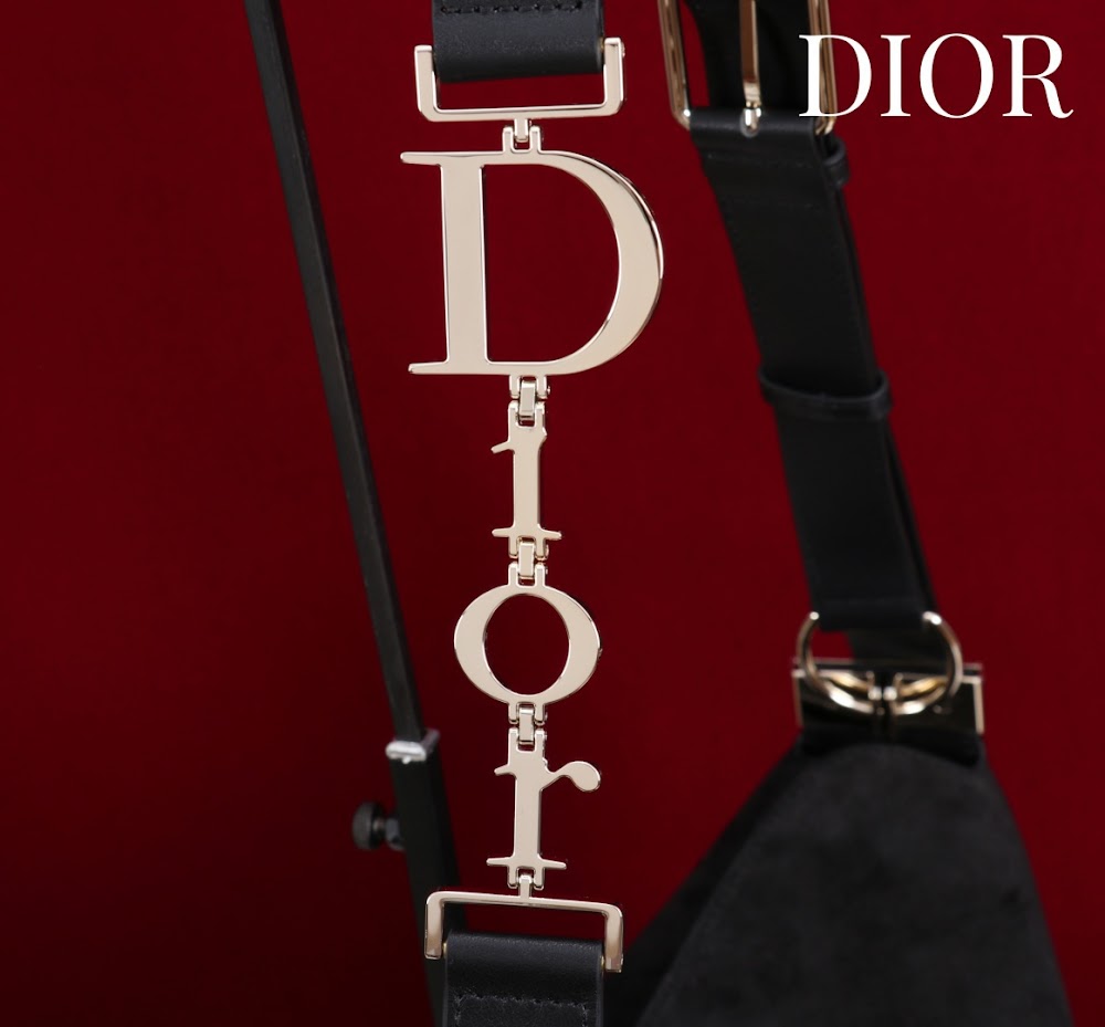 Dragons BagsDiorn Luxury Bag --115361