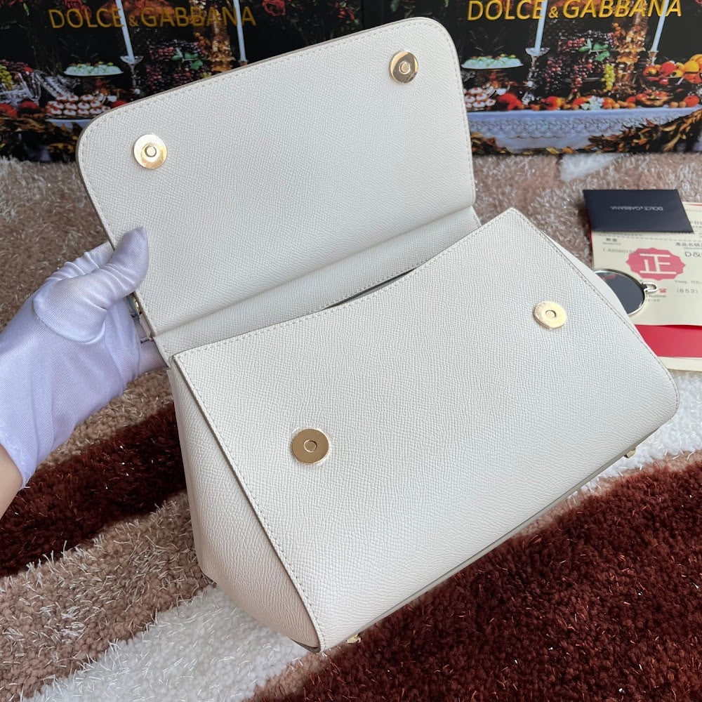Dragons Bags DGn Luxury Bag --93999