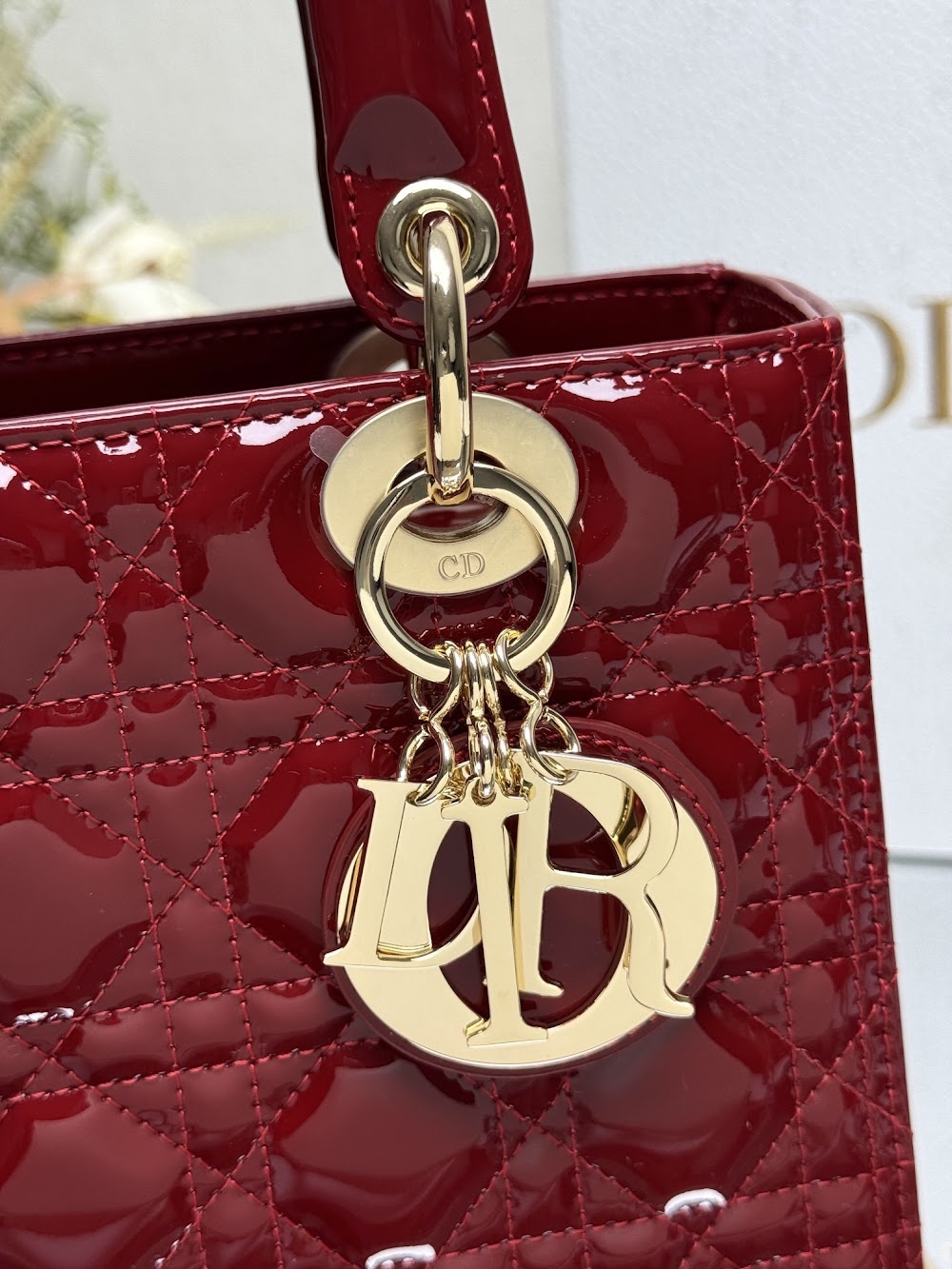 Dragons BagsDiorn Luxury Bag --115910