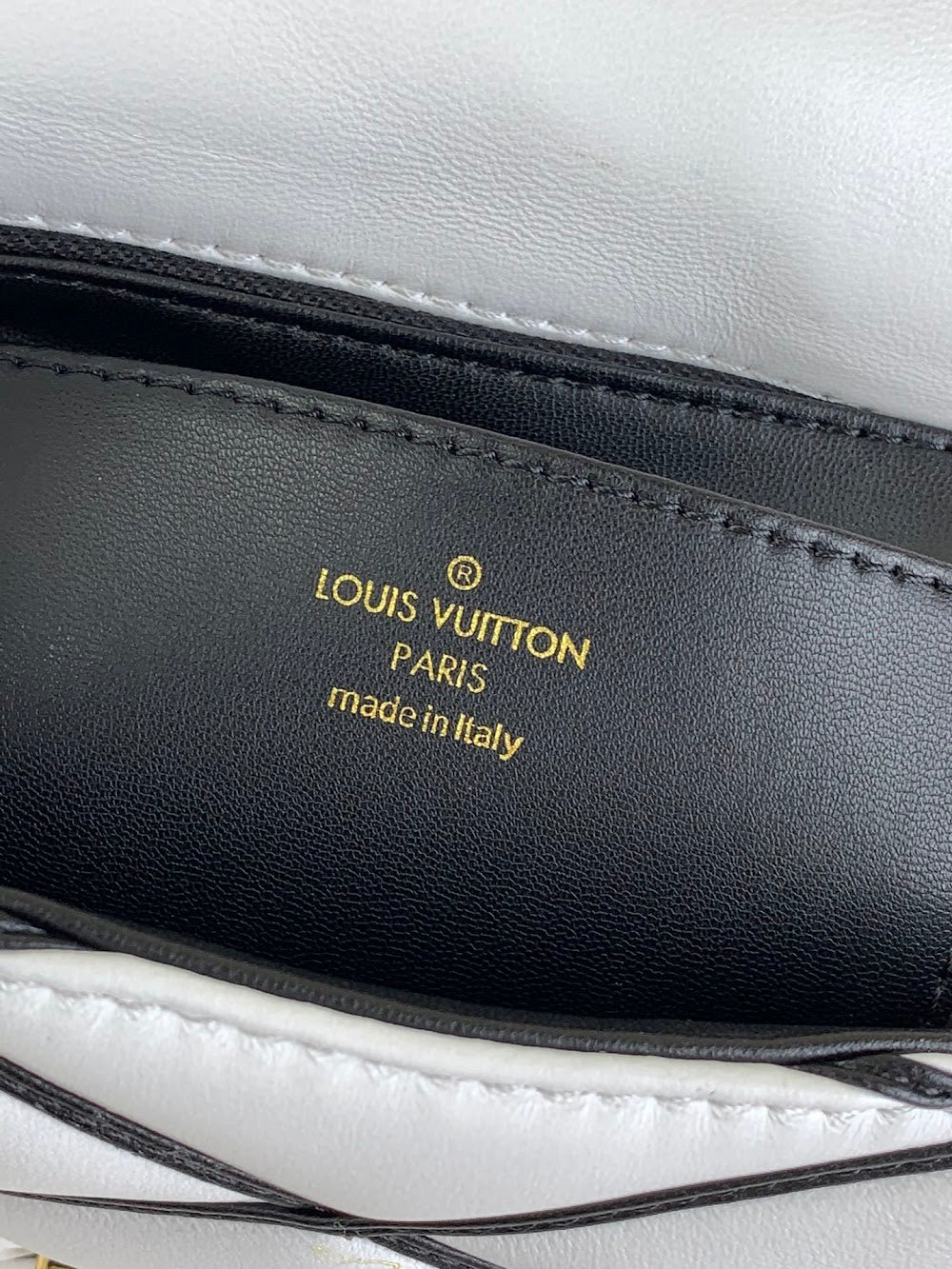 Dragons Bags ln Luxury Bag --68636