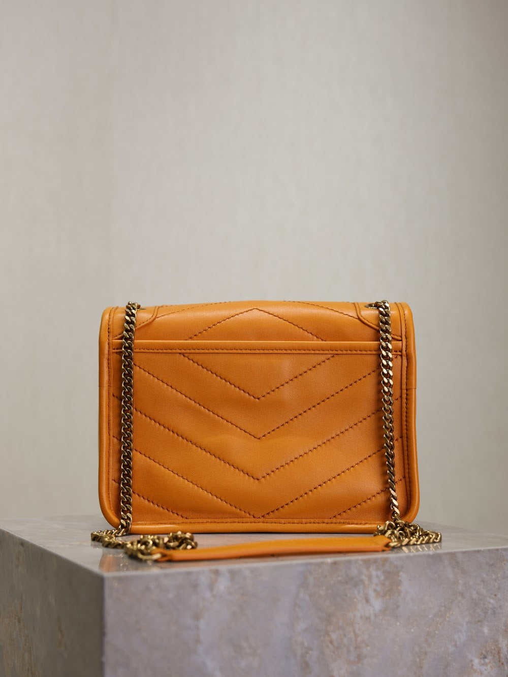 Dragons Bags YSLn Luxury Bag --119738