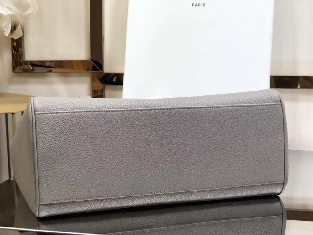 Dragons Bags Celine Luxury Bag --112415