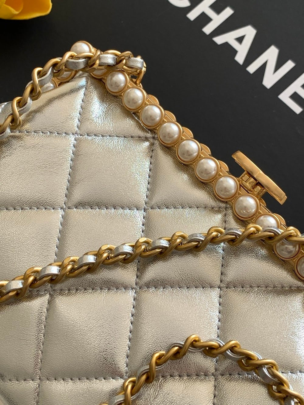 Dragons BagsCHn Luxury Bag --113900