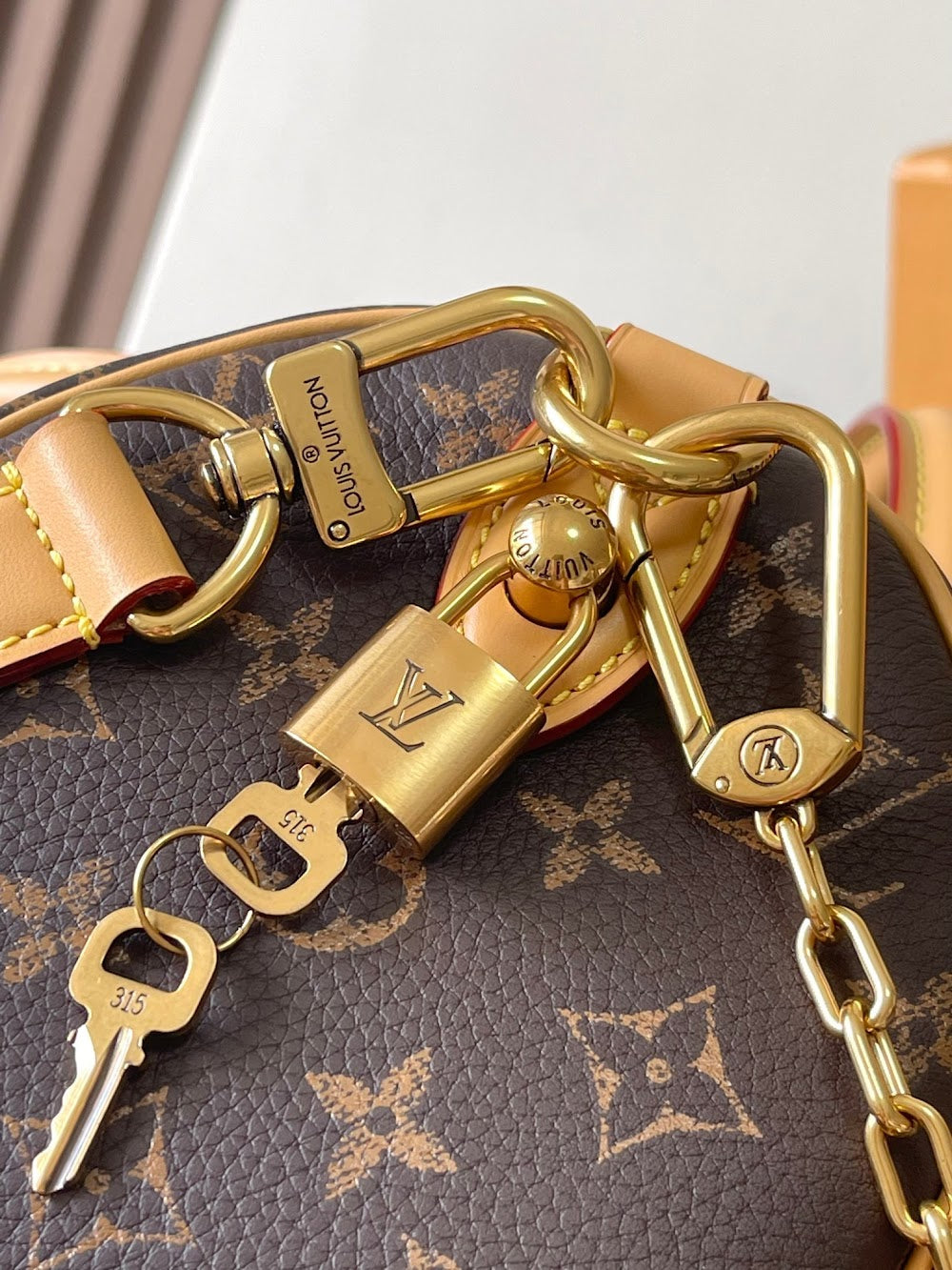 Dragons Bags ln Luxury Bag --97307