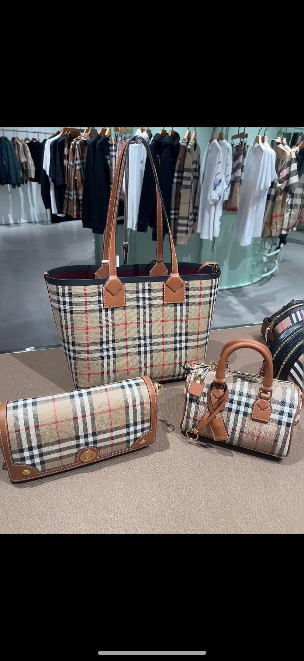 Dragons Bags Burberryn Luxury Bag --92039