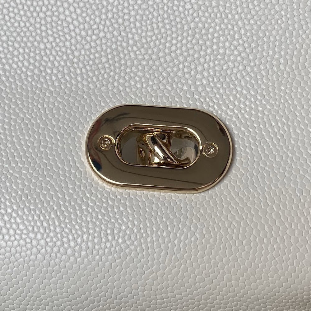 new-luxury-designer-bags-nm10072
