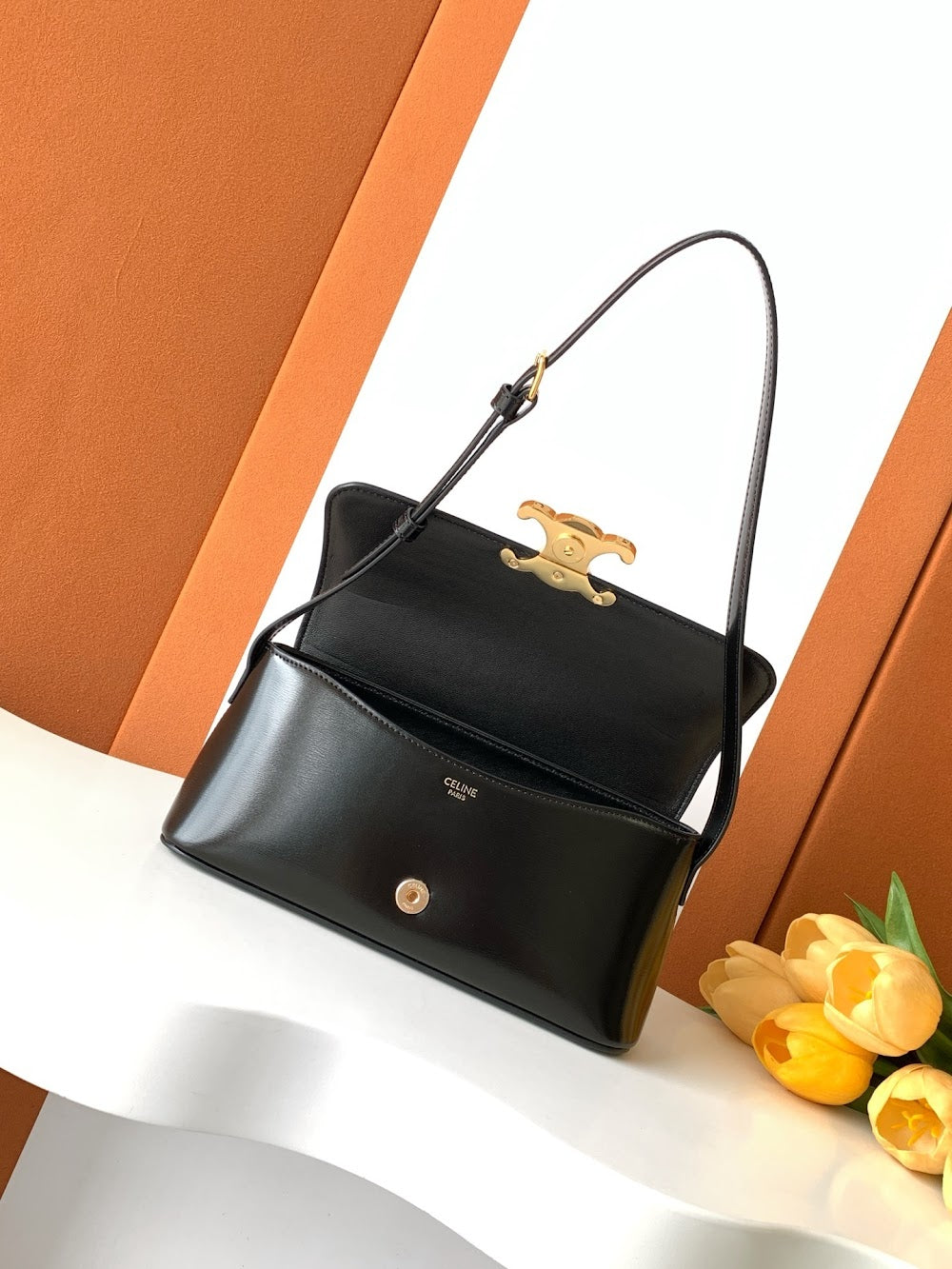 Dragons Bags Celine Luxury Bag --112090