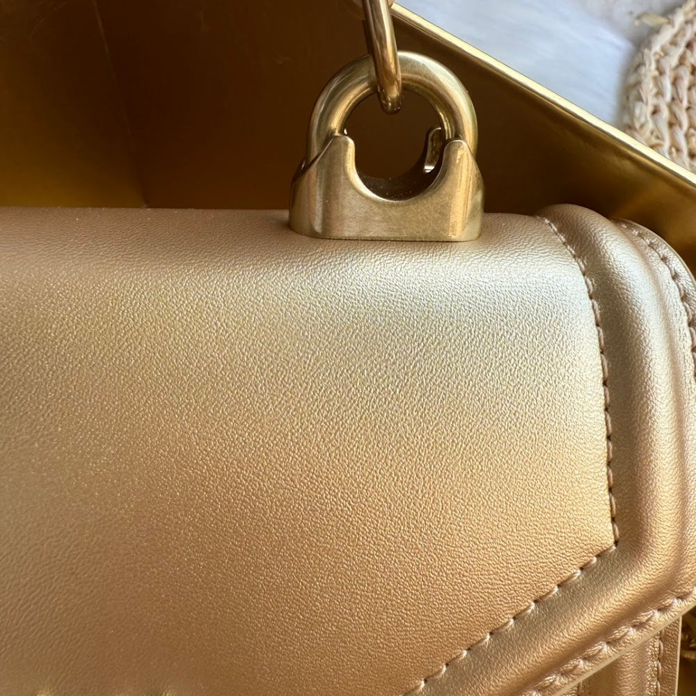 Dragons Bags DGn Luxury Bag --94046