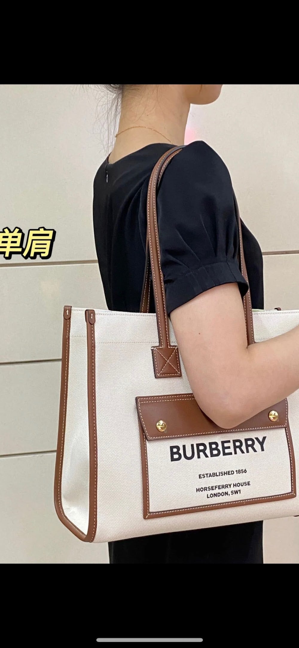 Dragons Bags Burberryn Luxury Bag --92716