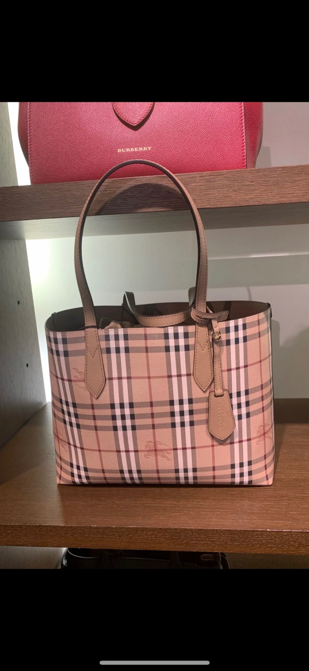 Dragons Bags Burberryn Luxury Bag --91688