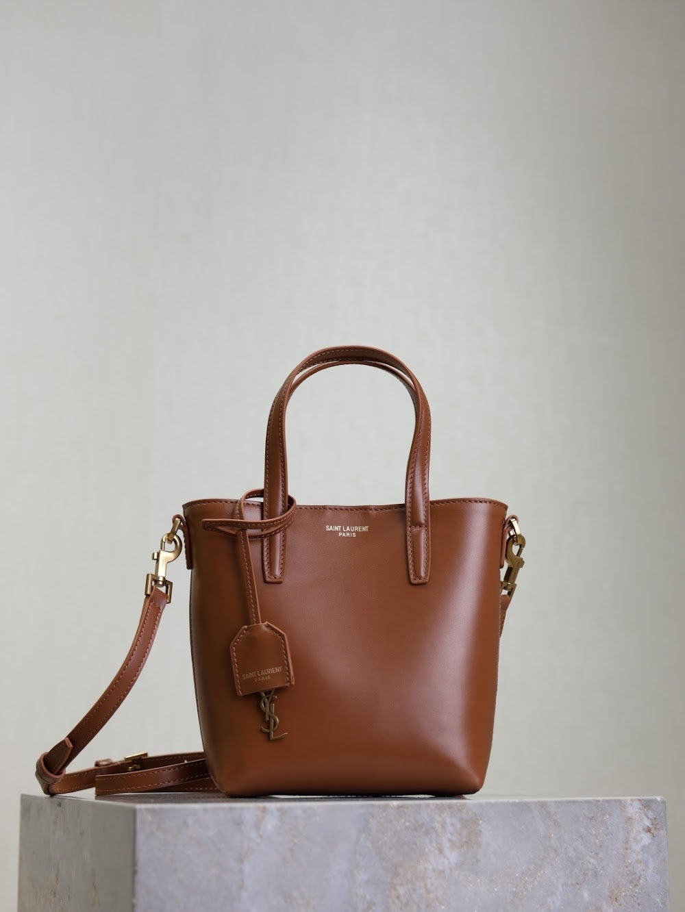 Dragons Bags YSLn Luxury Bag --119245